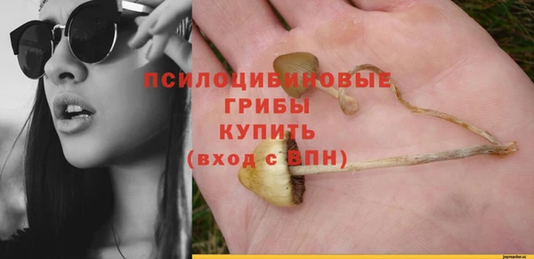 Альфа ПВП Инта