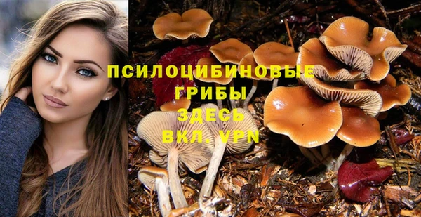 Альфа ПВП Инта