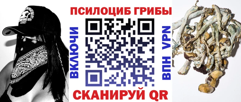 Купить закладки  Богородск  Псилоцибиновые грибы Cubensis 